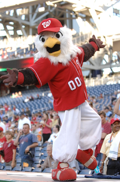 Thumbnail image for 050610-074 screech.JPG